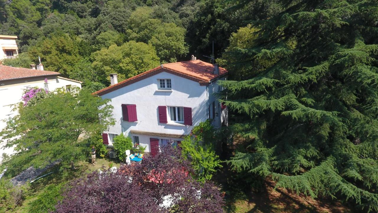 Villa Riviera Chambres Privees Amélie-les-Bains-Palalda Buitenkant foto