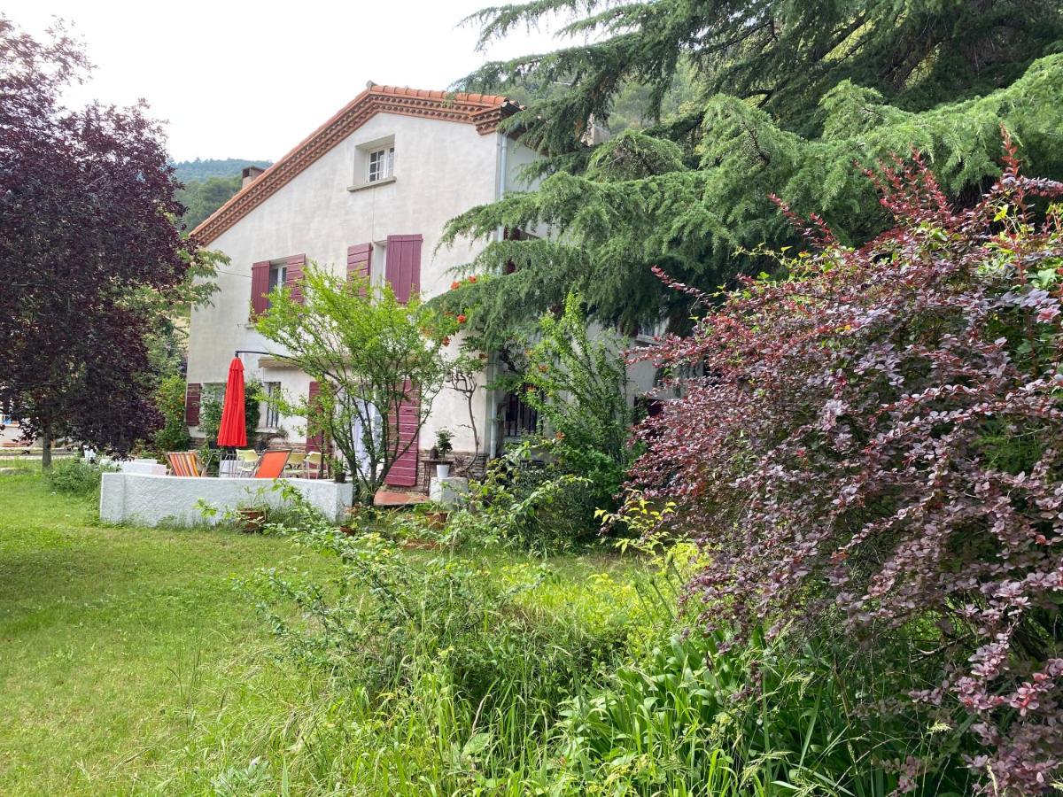 Villa Riviera Chambres Privees Amélie-les-Bains-Palalda Buitenkant foto